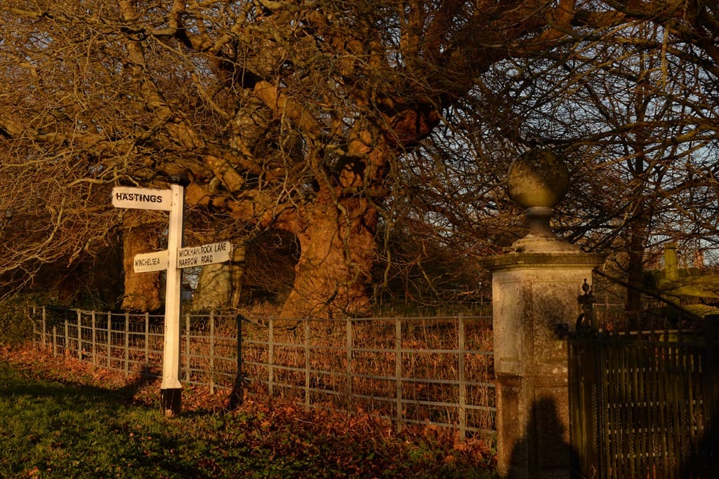 Late afternoon sun in winter